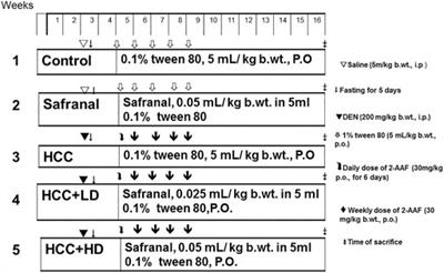 Safranal Prevents Liver Cancer Through Inhibiting Oxidative Stress and Alleviating Inflammation